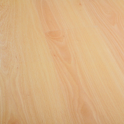 Life Haya 1L | Laminate flooring | Porcelanosa