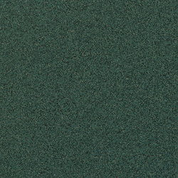 Granito 1 pampas | Ceramic tiles | Casalgrande Padana