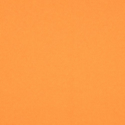 CAVALLO PIU - 221 | Dekorstoffe | Création Baumann