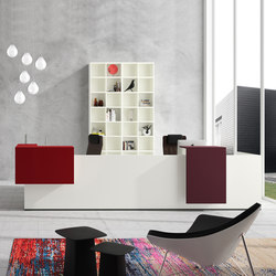 basic C Reception system | Counters | werner works