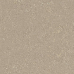 Marmoleum Concrete fossil | Linoleum rolls | Forbo Flooring