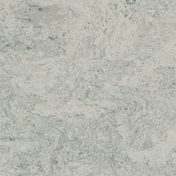 Marmoleum Real mist grey | Linoleum flooring | Forbo Flooring