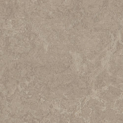 Marmoleum Real sparrow | Linoleum flooring | Forbo Flooring