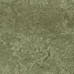 Marmoleum Real pine forest | Carpet tiles | Forbo Flooring
