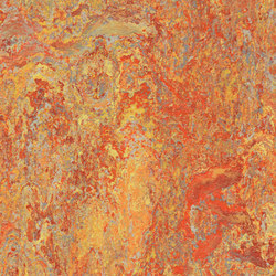 Marmoleum Vivace Asian tiger | Linoleum rolls | Forbo Flooring
