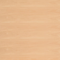 Edelholzcompact | Buche gedämpft | Composite panels | europlac