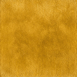 Dibbets Rim | Rugs | Minotti