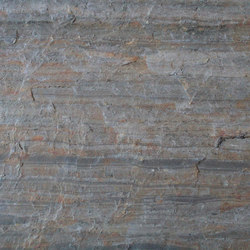 Jungle Fire | Wall veneers | Skinrock