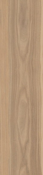 Fabula | Nucis 30x120 | Ceramic tiles | Caesar