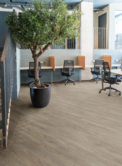 Form Woods - 0,7 mm I Thorndon Oak | Suelos de plástico | Amtico