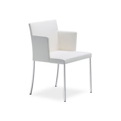 Jason Lite Chair | Sillas | Walter K.