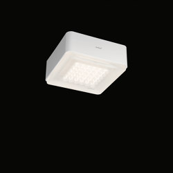 Modul Q 36 Frame | Ceiling lights | Nimbus