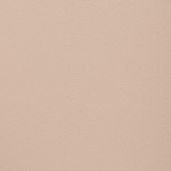 Paint Collection | Nude | Paints | File Under Pop