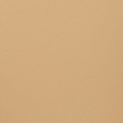 Paint Collection | Sahara Sand | Paints | File Under Pop