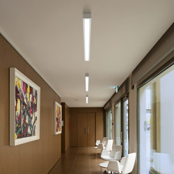 Box_SB | Ceiling lights | Linea Light Group