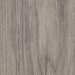 Signature Woods - 1,0 mm | Shore Oak | Synthetic panels | Amtico