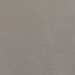 Chic Concrete (M551) | Mineral composite panels | HIMACS