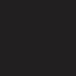 Miniworx 20x20 Miniworx RAL 0001500 Black Tile Glossy