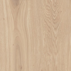 Elisir | Beige Matt | Ceramic tiles | Marca Corona