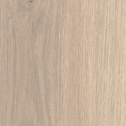 Ske 2.0 | Oak 2.0 | Ceramic tiles | Kronos Ceramiche