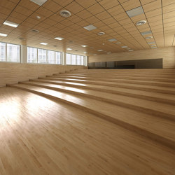 Systèmes D’Estrades et de Tribunes Fixes | Fauteuil Auditorium | Lamm