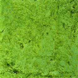 LR CV Peridoto REV | Piastrelle ceramica | La Riggiola