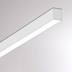 Log Out 2.1 Ip54 SD | Lámparas de techo | MOLTO LUCE