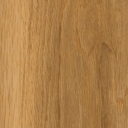 Access Woods - 0,55 mm I Honey Oak | Synthetic tiles | Amtico