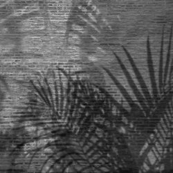 Materia | Palms | Keramik Fliesen | Officinarkitettura