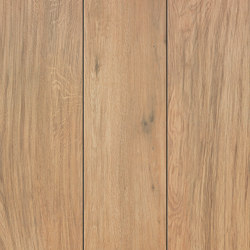Etic Rovere 22,5x90 | Ceramic tiles | Atlas Concorde