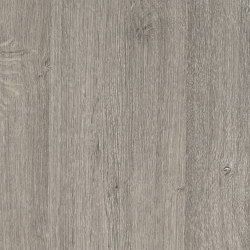 RESOPAL Woods | Silver Oak | Laminati pareti | Resopal
