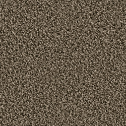 Maxime 6859 Camino | Rugs | OBJECT CARPET