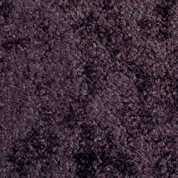 Bellezza | Nuits d’ivresse | LR 349 55