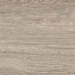 Quercus | Olivo | Ceramic tiles | Novabell