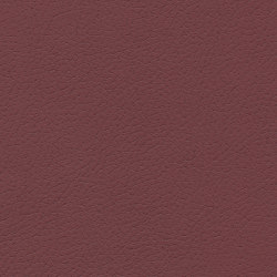 Brisa | Beet Root | Möbelbezugstoffe | Ultrafabrics