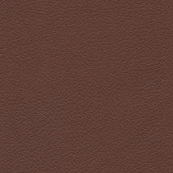 Brisa | Canyon | Möbelbezugstoffe | Ultrafabrics
