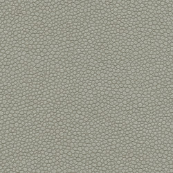 Eco Tech | Limestone | Möbelbezugstoffe | Ultrafabrics