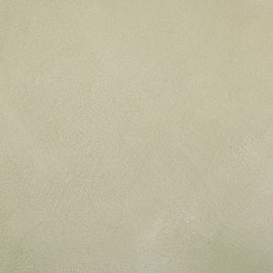 PANDOMO Clay Gentle Sage - C11 | Clay plaster | PANDOMO