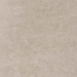 Timeless Taupe | Ceramic tiles | Casalgrande Padana