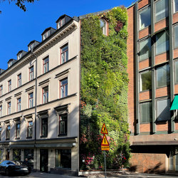 Outdoor Vertical Garden | Storgatan 1 | Green facades | Greenworks