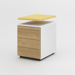 Motion Rolling and Stationary File | Pedestals | Neudoerfler