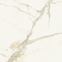 Scultorea | Calacatta oro fino 120x120 | Piastrelle ceramica | Marca Corona
