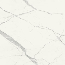 Scultorea | Statuario Vena Argento 120x120 | Carrelage céramique | Marca Corona