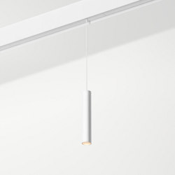 Ray Evo System | Stik 1x 35 ZW | Suspensions | Labra