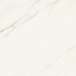 Marvel Meraviglia Calacatta Meraviglia 120x120 Lapp. | Ceramic tiles | Atlas Concorde