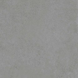 Terra Matte Silver Porcelain Tile 60x120 | Ceramic tiles | Kale