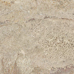 Arizona Bones Beige 1 | Decorative glass | TECNOGRAFICA